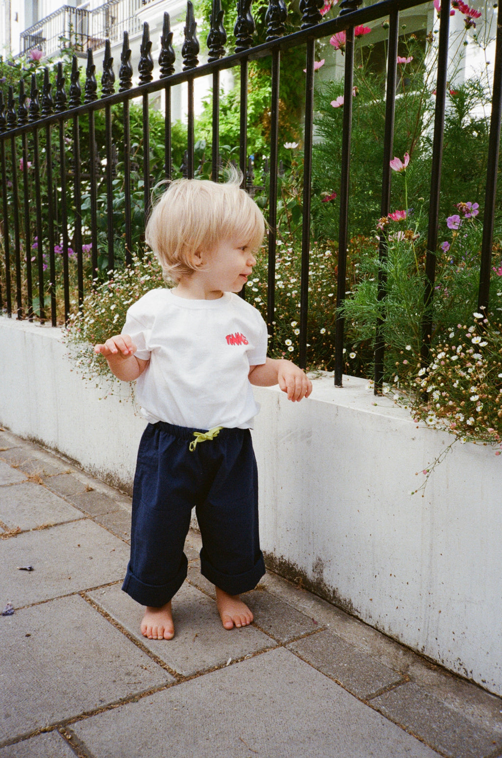 CARPENTINI PANTS - NAVY WITH LIME