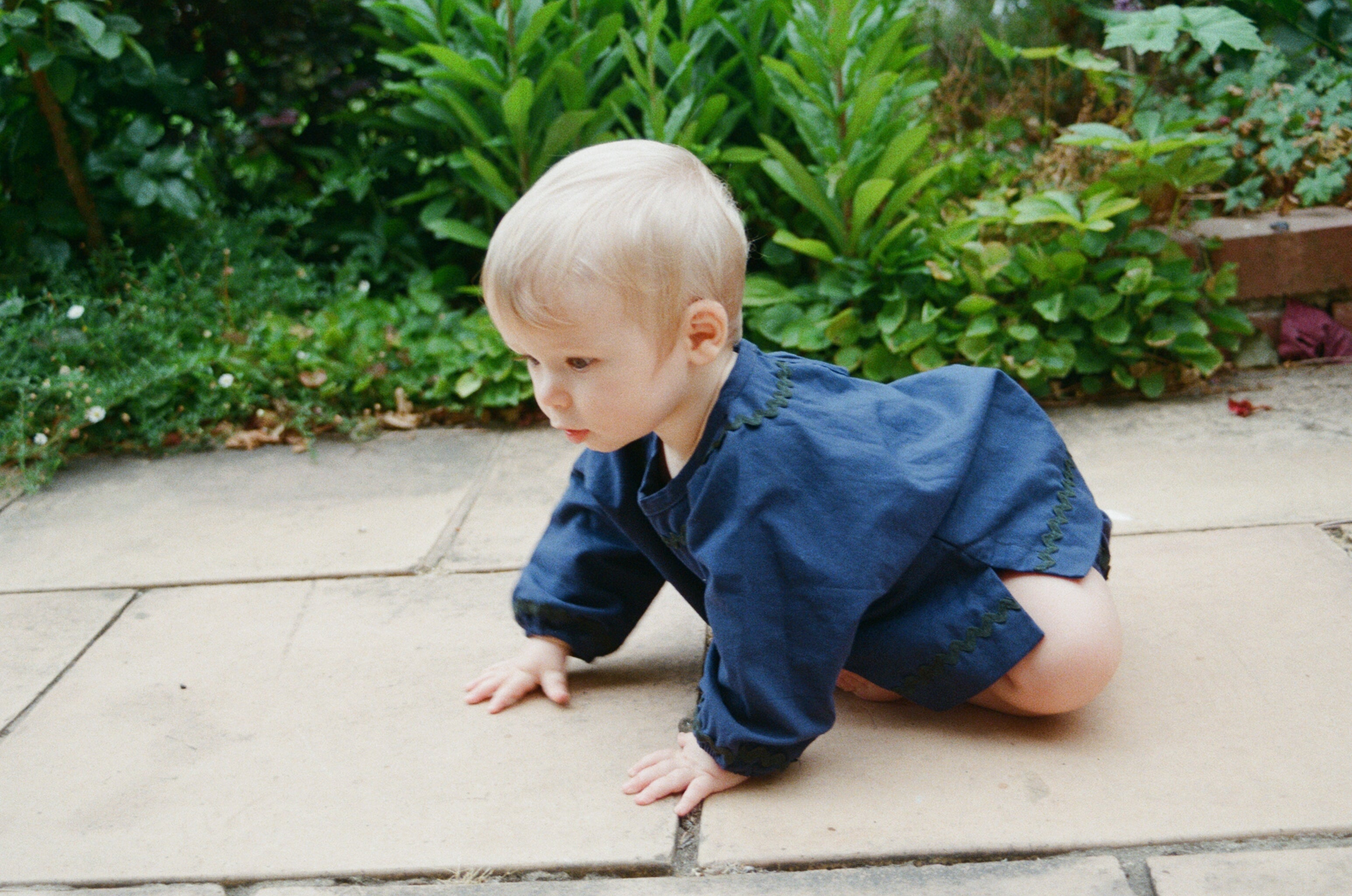 BLOOMERS! NAVY